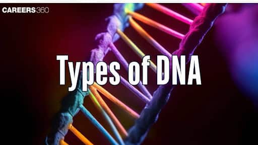 Types of DNA: Structure, Properties, Types and Functions